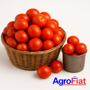 Fresh Farm Tomatoes