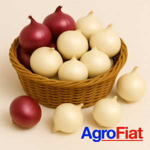 Fresh Nigerian Onions