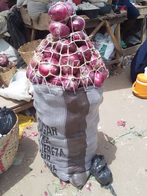 Fresh Nigerian Onions - Image 4