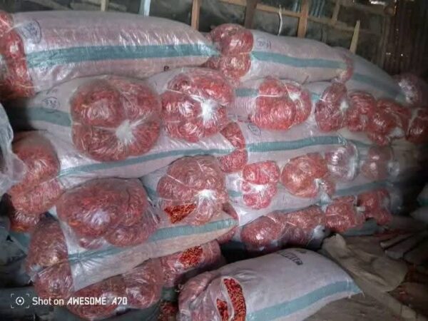 Fresh Nigerian Onions - Image 5