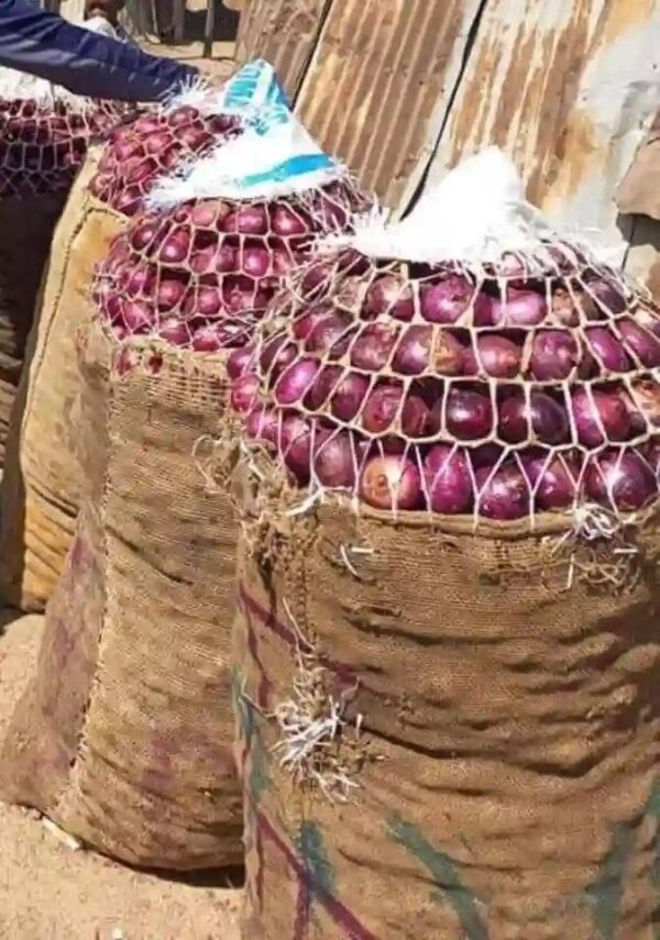 Fresh Nigerian Onions - Image 6