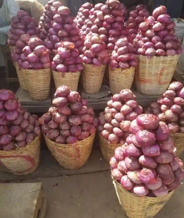 Fresh Nigerian Onions - Image 3