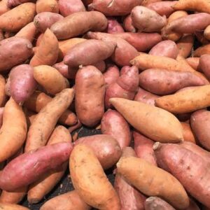 Fresh Sweet Potatoes