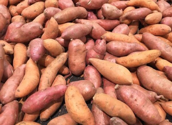 Fresh Sweet Potatoes