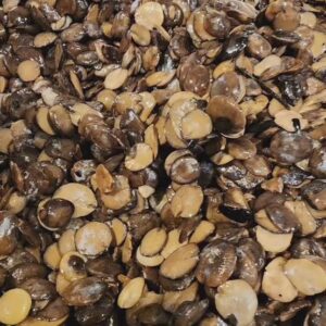 Locust Beans (Iru Woro & Pete)