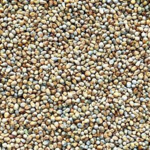 Millet (Jero)