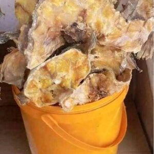 Stockfish (Okporoko)