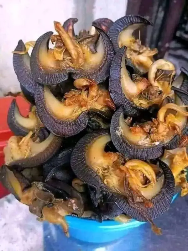 Oven Dried Snails (Jombo)