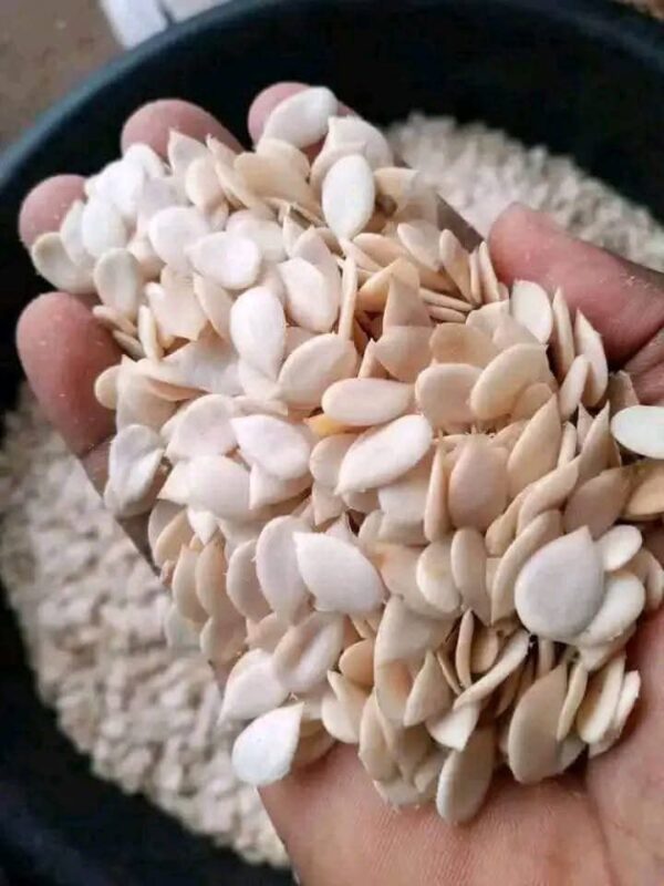 Pant of Hand Peeled Egusi ( Melon Seeds) - Image 5