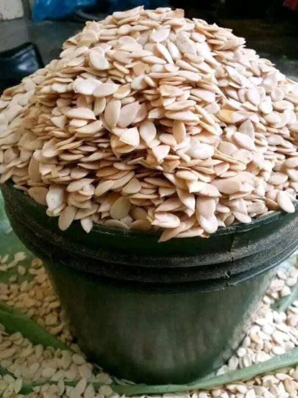 Pant of Hand Peeled Egusi ( Melon Seeds)