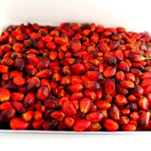 Palm Kernel Nut (For Banga Soup)